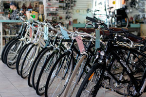 A row of bicycles at the Calgary shop 