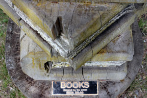 Book Totem by Rick L. Silas