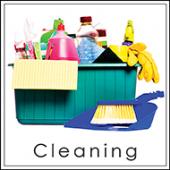 Cleaning Services