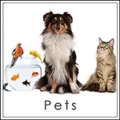 Pets