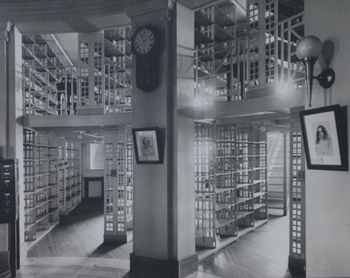 Shelves after the first week