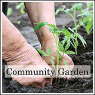 Beltline Community Garden