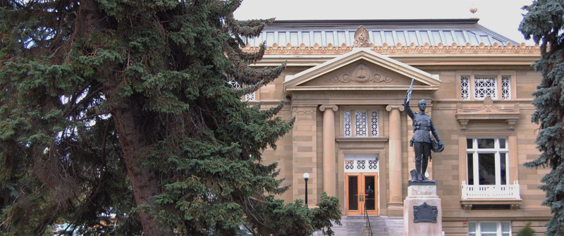 Memorial Park Library with statue